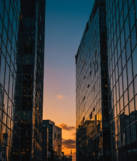 Network Contingency Search